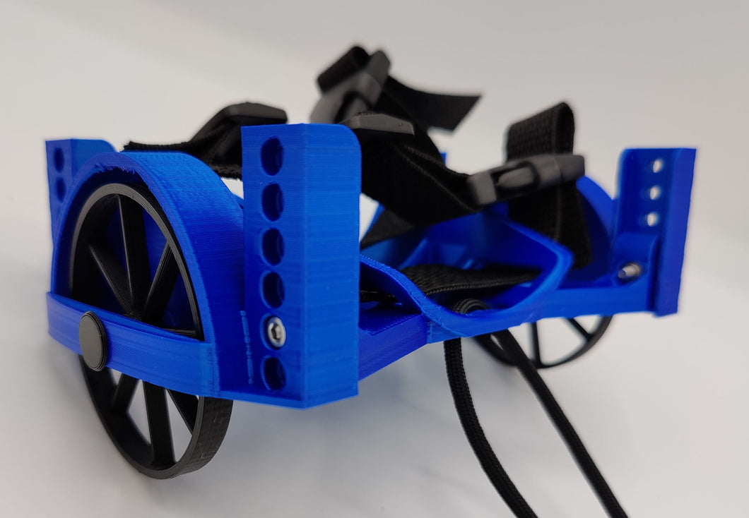 Degu Wheelchair: Dash Dancer - Customizable and Adjustable by SporadiCat